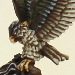 Hawk detail